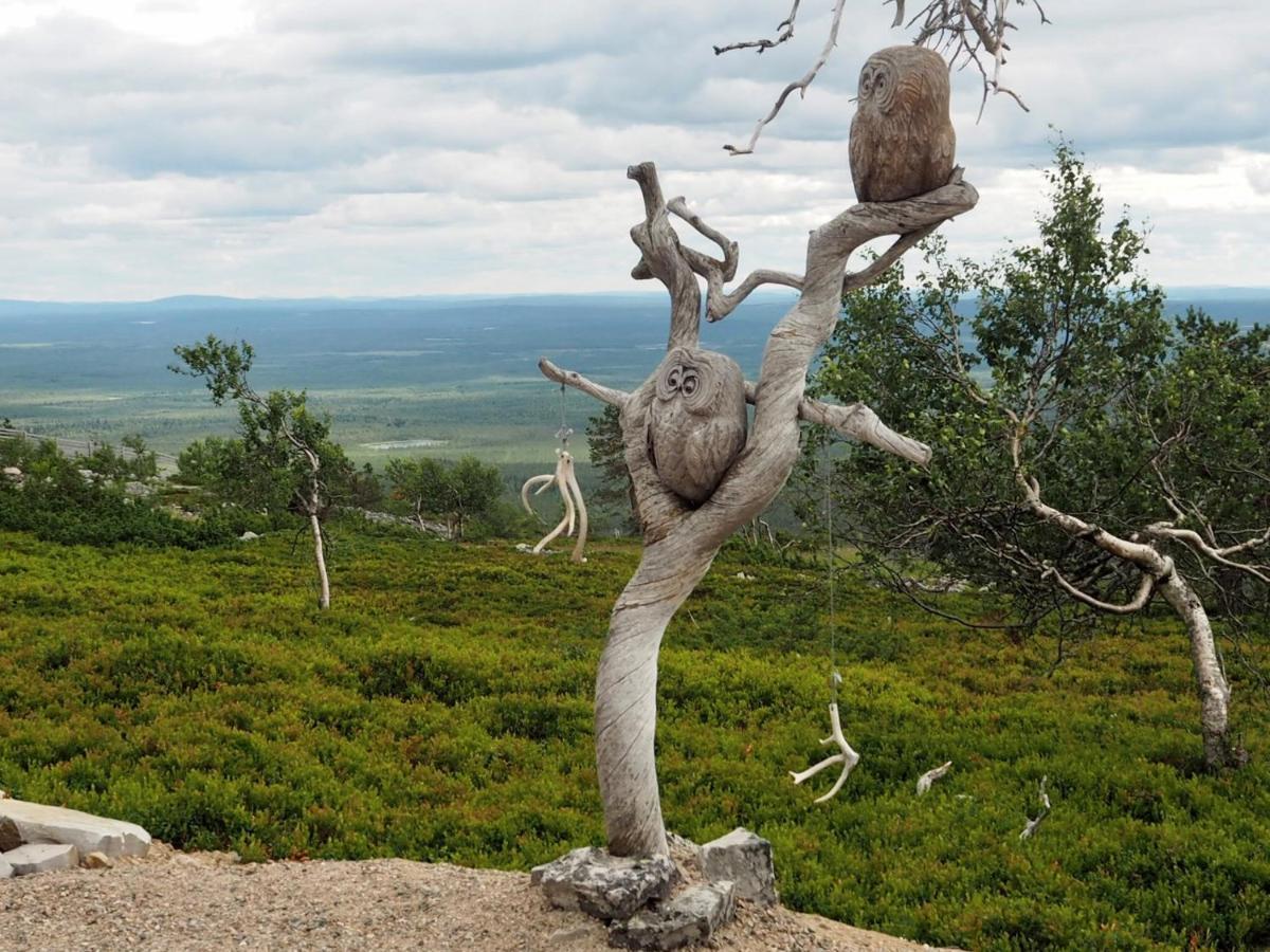 Villa Pyhae Saukonpiilo Pelkosenniemi Esterno foto