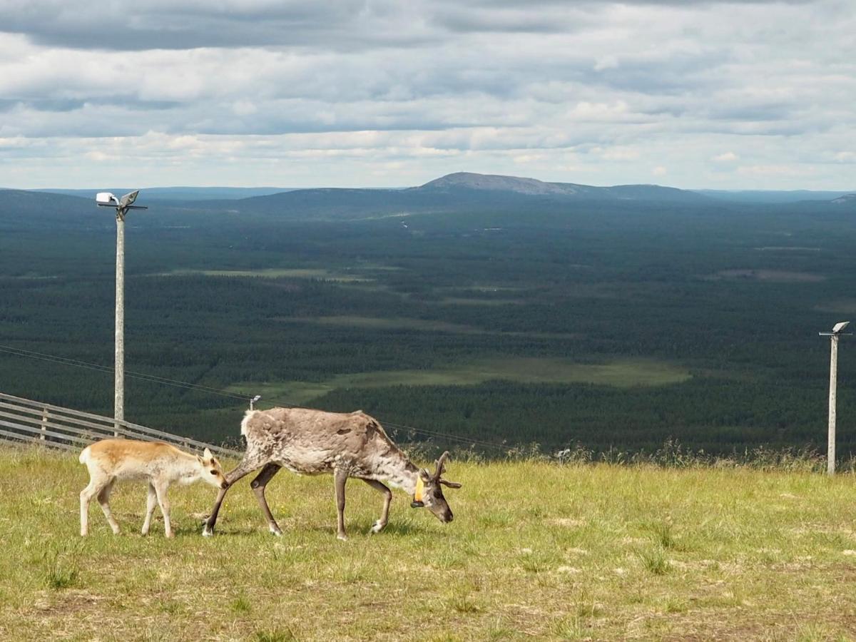 Villa Pyhae Saukonpiilo Pelkosenniemi Esterno foto